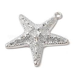 Alloy Big Pendants&nbsp;FIND-H055-13P