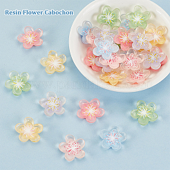60Pcs 6 Colors Translucent Resin Decoden Cabochons&nbsp;RESI-GA0001-31