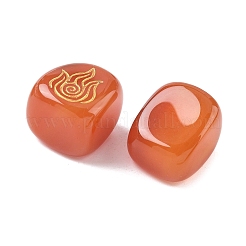 4Pcs 4 Styles Natural Carnelian Display Decorations&nbsp;G-F786-03A-02