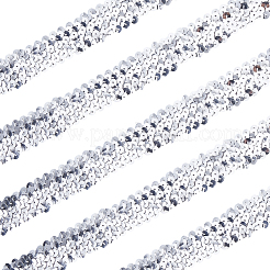 Ployester Sequin Trimmings&nbsp;OCOR-WH20012-79F