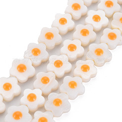 Natural Freshwater Shell Beads Strands with Enamel&nbsp;SHEL-T018-29B