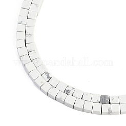 Natural Howilite Beads Strands&nbsp;G-B129-A14-01