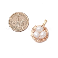 Natural Cultured Freshwater Pearl Copper Wire Wrapped Bird Egg Nest Pendants&nbsp;PALLOY-TA00228-02