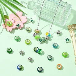 50Pcs Resin European Beads&nbsp;RESI-CJC0050-01A