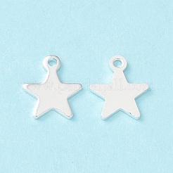 304 Stainless Steel Charms&nbsp;STAS-L234-069S