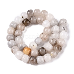 Dyed Natural White Jade Beads Strands&nbsp;G-T138-D27