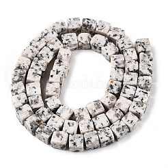 Natural White Sesame Jasper Beads Strands&nbsp;G-T139-6x6-33A