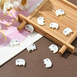 10Pcs Natural Trochid Shell/Trochus Shell Beads&nbsp;SSHEL-CJ0001-16
