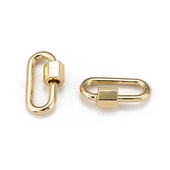 Brass Screw Carabiner Lock Charms&nbsp;X-KK-T047-08G