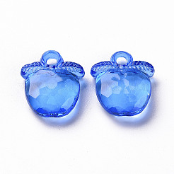 Transparent Acrylic Pendants&nbsp;TACR-S154-28B-86
