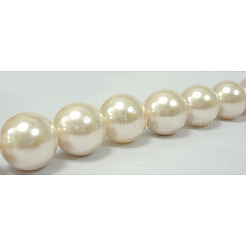 Shell Pearl Beads Strands&nbsp;SP10MM205