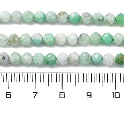 Natural Chrysoprase Beads Strands&nbsp;G-G195-A02-03