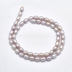 Natural Cultured Freshwater Pearl Beads Strands&nbsp;PEAR-F007-76B-01