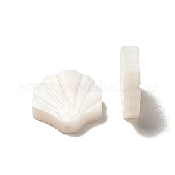 Natural Freshwater Shell Beads&nbsp;BSHE-E026-06