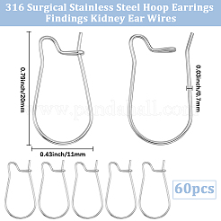 60Pcs 316 Surgical Stainless Steel Hoop Earrings Findings&nbsp;STAS-BBC0010-02