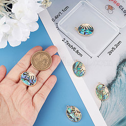 6Pcs Ion Plating(IP) Natural Paua Shell Pendants&nbsp;KK-BBC0005-41