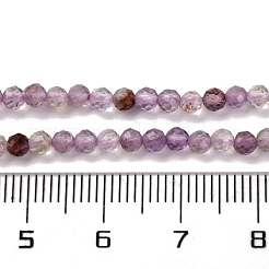 Natural Purple Phantom Quartz Purple Lodolite Quartz Beads Strands&nbsp;G-A235-A01-02