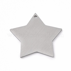Tarnish Resistant 304 Stainless Steel Pendants&nbsp;STAS-F271-04E-P
