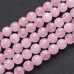 Natural Rose Quartz Beads Strands&nbsp;G-G099-F10mm-15
