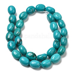 Natural Howlite Beads Strands&nbsp;G-B049-D01-02A