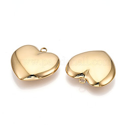 304 Stainless Steel Big Pendants&nbsp;STAS-T064-65G
