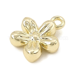 Alloy Charms&nbsp;AL-CBAFCDA-03G