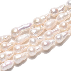 Natural Baroque Keshi Pearl Beads Strands&nbsp;PEAR-S020-F14-02