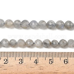 Natural Labradorite Beads Strands&nbsp;G-L642-F07-6mm