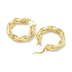 Brass Hoop Earrings&nbsp;EJEW-P264-A13-G