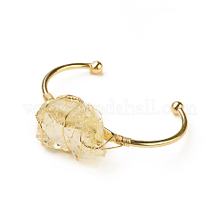 Long-Lasting Plated Brass Cuff Bangles&nbsp;X-BJEW-F394-A02