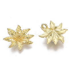 Brass Charms&nbsp;KK-T057-011-NF