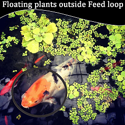 2 Sets EVA Foam Feeding Ring for Fish&nbsp;AJEW-CN0002-52A