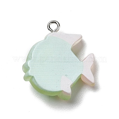 Opaque Resin Pendants&nbsp;RESI-D055-095P