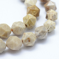 Natural Fossil Coral Beads Strands&nbsp;G-F523-23-8mm