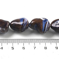 Dyed Natural Trochus Shell Beads Strands&nbsp;BSHE-Z006-02B