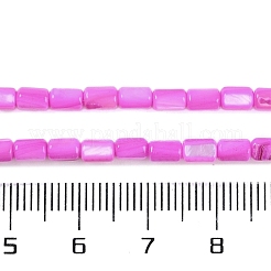 Natural Freshwater Shell Beads Strands&nbsp;BSHE-H109-17B