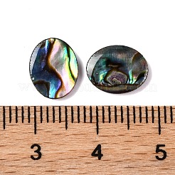 Natural Paua Shell Epoxy Resin Cabochons&nbsp;SSHEL-S279-01G