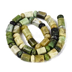 Natural Serpentine Beads Strands&nbsp;G-Q616-09H