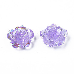 Transparent Resin Cabochons&nbsp;CRES-N030-001B-01