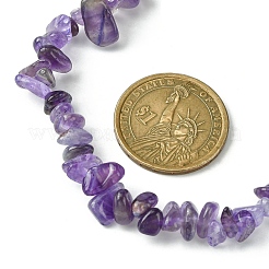 Natural Amethyst Chips Beaded Necklace&nbsp;NJEW-FZ00004-09