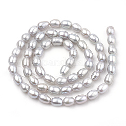 Natural Cultured Freshwater Pearl Beads Strands&nbsp;PEAR-S012-75B