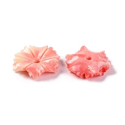 Synthetic Shell Dyed Beads&nbsp;SHEL-C007-04D