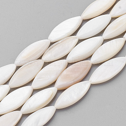 Natural Shell Beads Strands&nbsp;PBB220Y-1