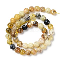 Natural Yellow Opal Beads Strands&nbsp;G-Q1001-A02-02