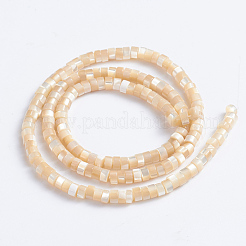 Natural Trochid Shell/Trochus Shell Beads Strands&nbsp;SSHEL-L016-13