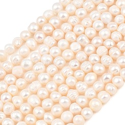 Natural Cultured Freshwater Pearl Beads Strands&nbsp;PEAR-D003-01C-04