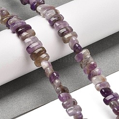 Natural Amethyst Beads Strands&nbsp;G-Q167-B12-01