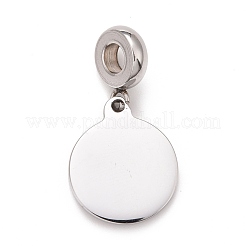 304 Stainless Steel European Dangle Charms&nbsp;STAS-I194-11P