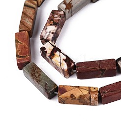 Natural Picasso Jasper/Polychrome Jasper Beads Strands&nbsp;G-T141-104