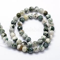 Natural Tree Agate Beads Strands&nbsp;G-I199-03-6mm